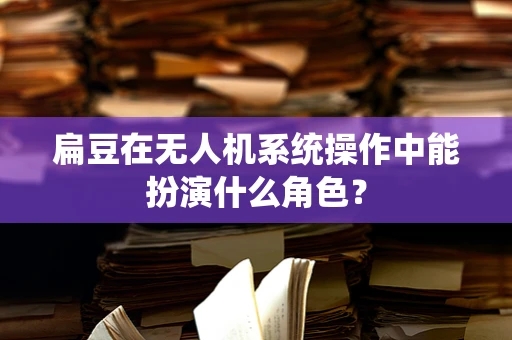 扁豆在无人机系统操作中能扮演什么角色？