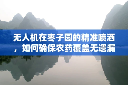无人机在枣子园的精准喷洒，如何确保农药覆盖无遗漏？