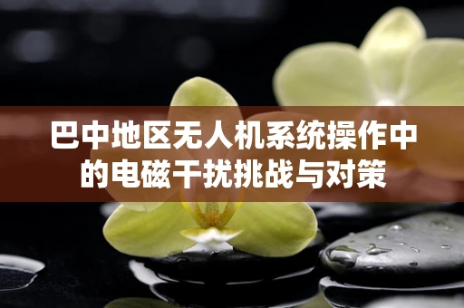 巴中地区无人机系统操作中的电磁干扰挑战与对策