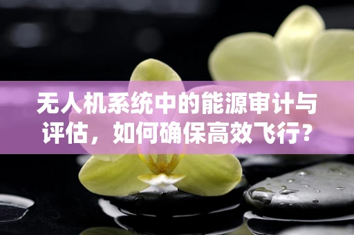 无人机系统中的能源审计与评估，如何确保高效飞行？