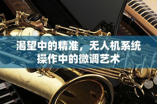 渴望中的精准，无人机系统操作中的微调艺术