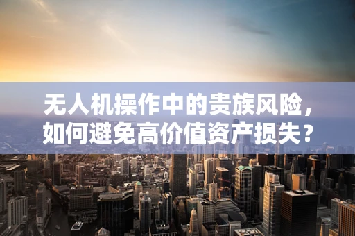 无人机操作中的贵族风险，如何避免高价值资产损失？