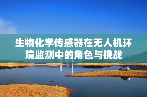 生物化学传感器在无人机环境监测中的角色与挑战