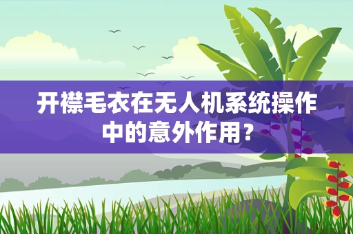 开襟毛衣在无人机系统操作中的意外作用？