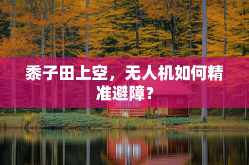黍子田上空，无人机如何精准避障？