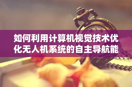 如何利用计算机视觉技术优化无人机系统的自主导航能力？