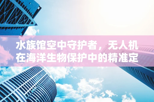 水族馆空中守护者，无人机在海洋生物保护中的精准定位挑战