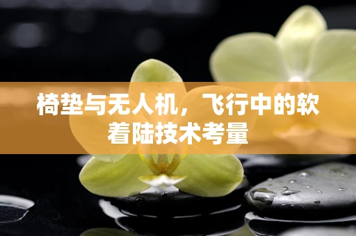 椅垫与无人机，飞行中的软着陆技术考量