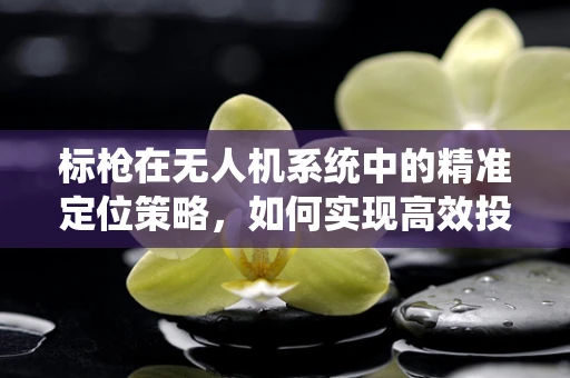 标枪在无人机系统中的精准定位策略，如何实现高效投射？
