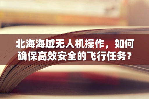 北海海域无人机操作，如何确保高效安全的飞行任务？