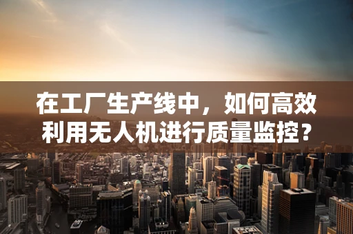在工厂生产线中，如何高效利用无人机进行质量监控？