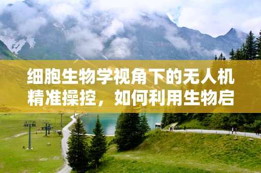 细胞生物学视角下的无人机精准操控，如何利用生物启发的算法优化飞行控制？