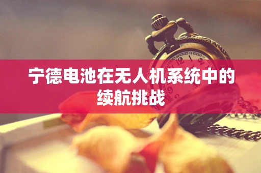 宁德电池在无人机系统中的续航挑战