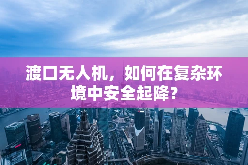 渡口无人机，如何在复杂环境中安全起降？