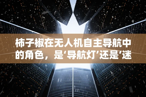 柿子椒在无人机自主导航中的角色，是‘导航灯’还是‘迷雾剂’？