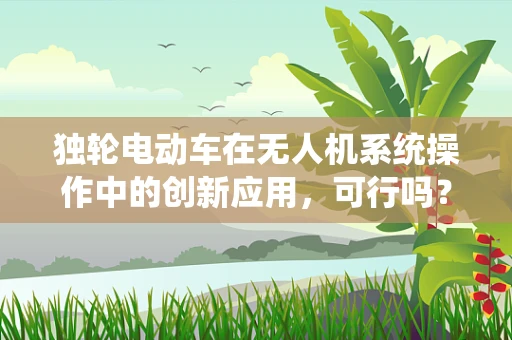 独轮电动车在无人机系统操作中的创新应用，可行吗？