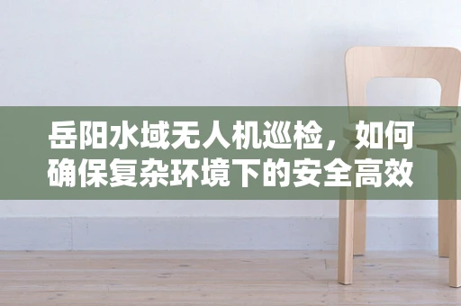 岳阳水域无人机巡检，如何确保复杂环境下的安全高效飞行？