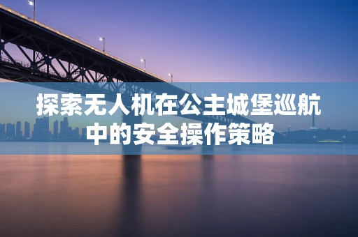 探索无人机在公主城堡巡航中的安全操作策略