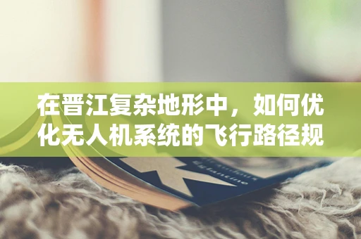 在晋江复杂地形中，如何优化无人机系统的飞行路径规划？