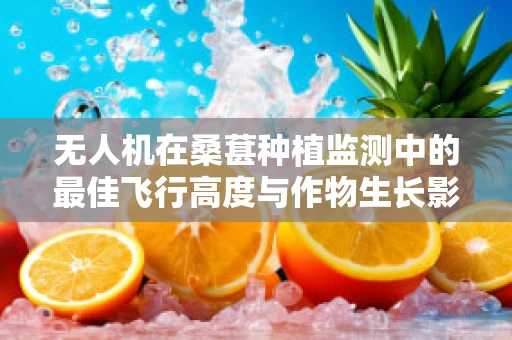 无人机在桑葚种植监测中的最佳飞行高度与作物生长影响研究