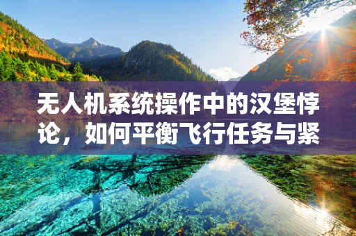 无人机系统操作中的汉堡悖论，如何平衡飞行任务与紧急午餐需求？