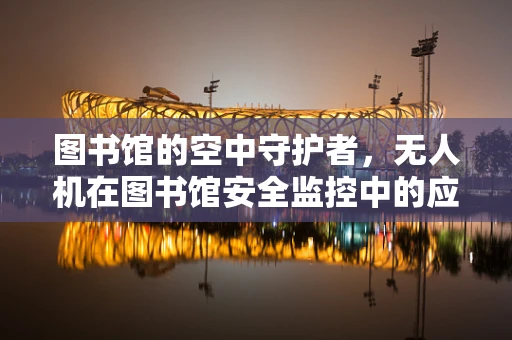 图书馆的空中守护者，无人机在图书馆安全监控中的应用挑战