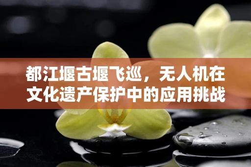 都江堰古堰飞巡，无人机在文化遗产保护中的应用挑战