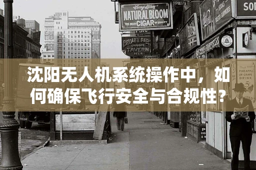 沈阳无人机系统操作中，如何确保飞行安全与合规性？