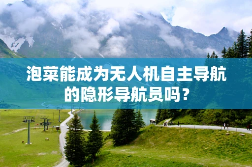 泡菜能成为无人机自主导航的隐形导航员吗？