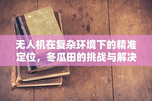 无人机在复杂环境下的精准定位，冬瓜田的挑战与解决方案