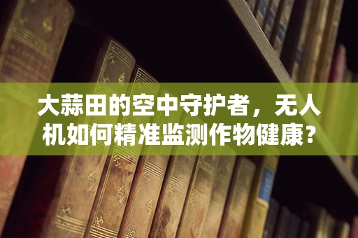 大蒜田的空中守护者，无人机如何精准监测作物健康？