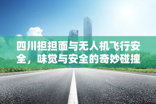 四川担担面与无人机飞行安全，味觉与安全的奇妙碰撞