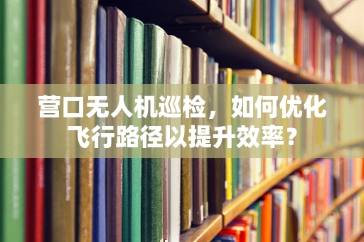 营口无人机巡检，如何优化飞行路径以提升效率？