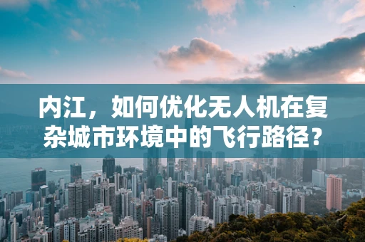 内江，如何优化无人机在复杂城市环境中的飞行路径？