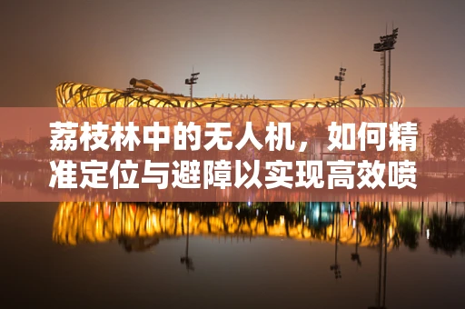 荔枝林中的无人机，如何精准定位与避障以实现高效喷洒？