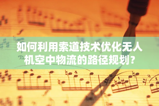 如何利用索道技术优化无人机空中物流的路径规划？
