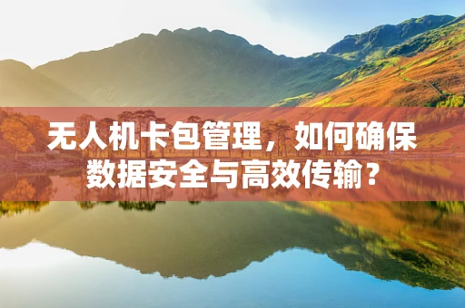 无人机卡包管理，如何确保数据安全与高效传输？