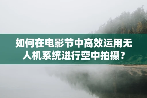 如何在电影节中高效运用无人机系统进行空中拍摄？