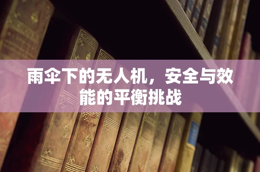 雨伞下的无人机，安全与效能的平衡挑战