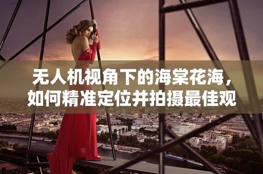 无人机视角下的海棠花海，如何精准定位并拍摄最佳观赏角度？