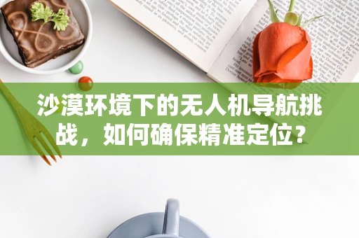 沙漠环境下的无人机导航挑战，如何确保精准定位？
