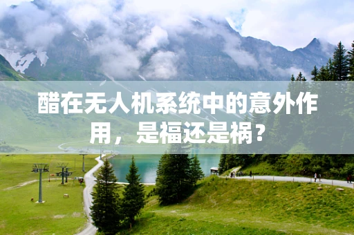 醋在无人机系统中的意外作用，是福还是祸？