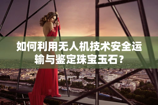 如何利用无人机技术安全运输与鉴定珠宝玉石？