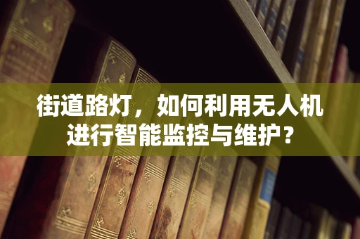 街道路灯，如何利用无人机进行智能监控与维护？