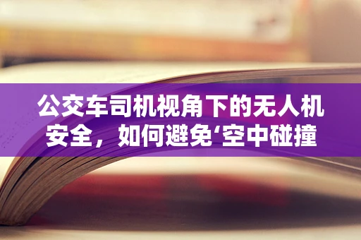 公交车司机视角下的无人机安全，如何避免‘空中碰撞’？