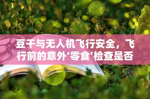 豆干与无人机飞行安全，飞行前的意外‘零食’检查是否必要？