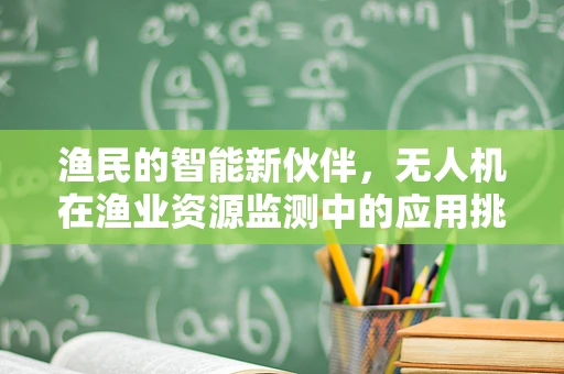 渔民的智能新伙伴，无人机在渔业资源监测中的应用挑战