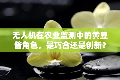 无人机在农业监测中的黄豆酱角色，是巧合还是创新？