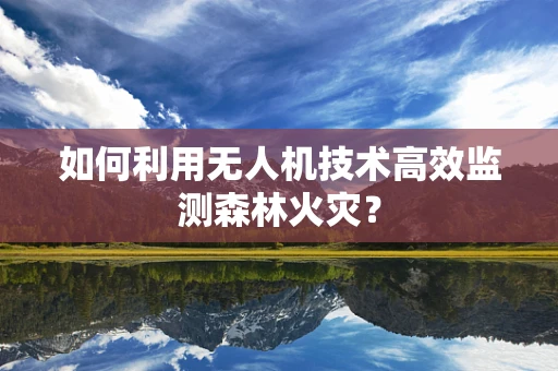 如何利用无人机技术高效监测森林火灾？