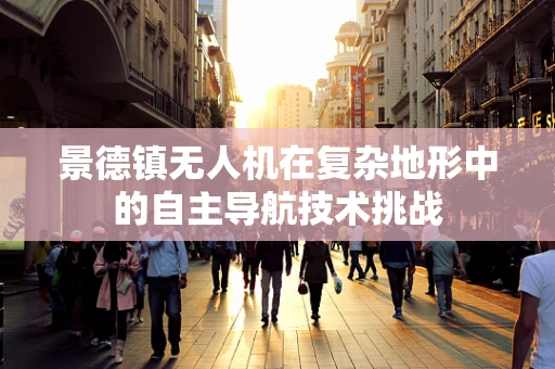 景德镇无人机在复杂地形中的自主导航技术挑战